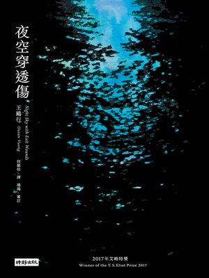 cover image of 夜空穿透傷